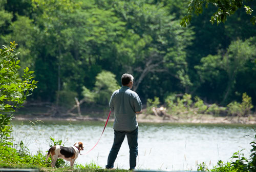 2019 Jun Daily Walks 2019 Jun Daily Walks