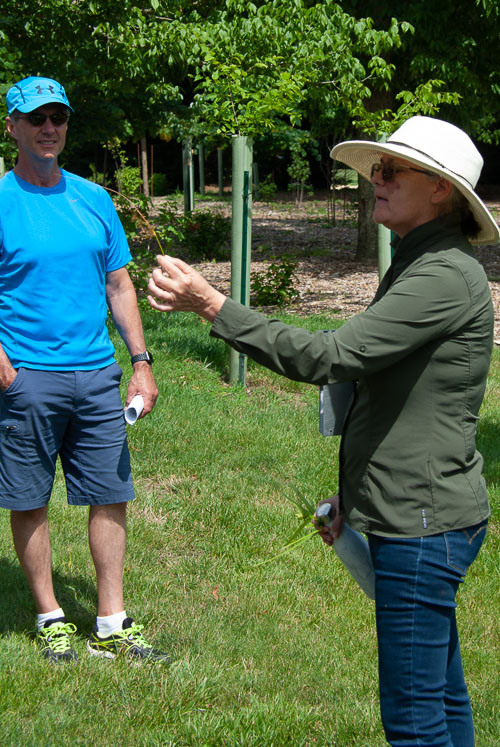 2019 Jun In Full Leaf