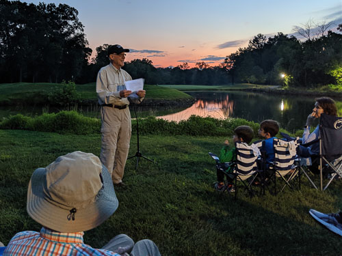 2019 Aug Bats at Dusk