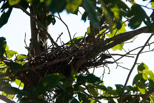 2019 Sep Transition Summer to Fall