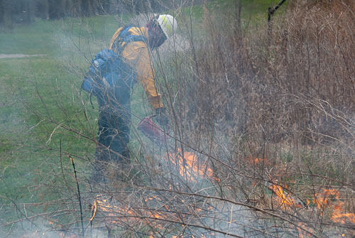 2020 03 Confluence Park Burn