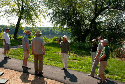 2020 06 Lectures in the Park