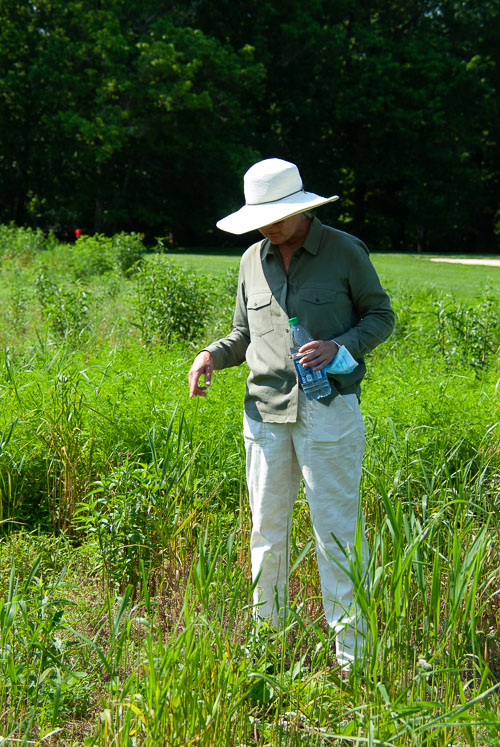 2020 06 Lectures in the Park