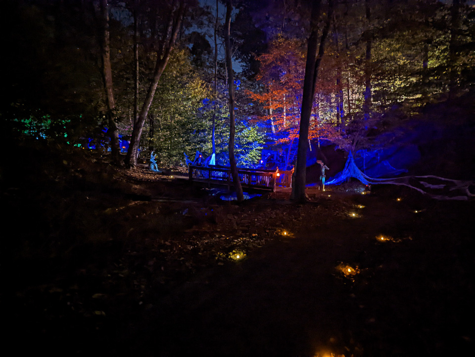 PXL_20211101_005446188.NIGHT.jpg