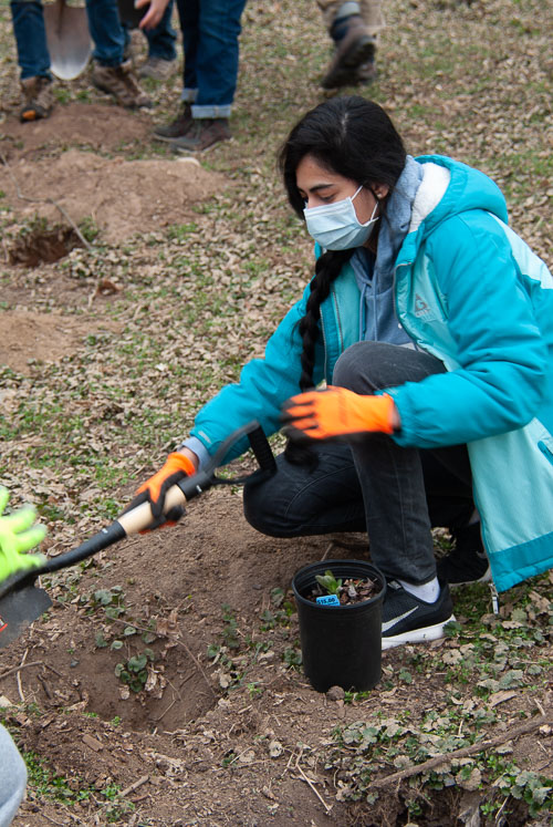 2021 03 Blue Bell Planting in Confluence Park 2021 03 Blue Bell Planting in Confluence Park