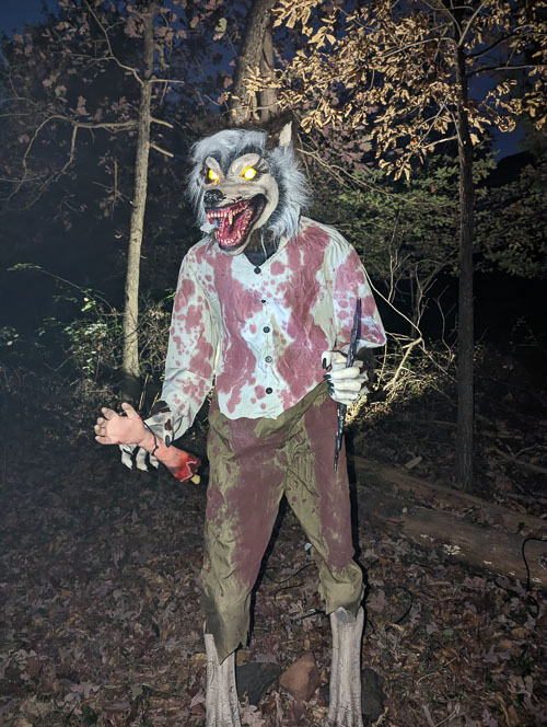 2022 10 Haunted Forest