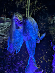 2025 10 Haunted Forest