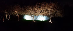 PANO_20180423_210134.jpg