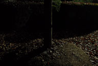 061109015.jpg