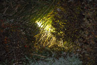 061109025.jpg