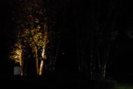 061109030.jpg