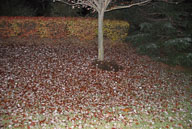 061109043.jpg