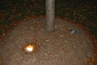 061110072.jpg