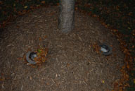 061110075.jpg