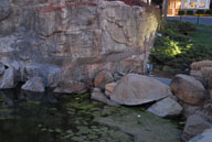RAZ_3543.jpg