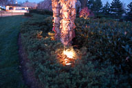 RAZ_3559.jpg