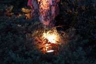 RAZ_3561.jpg
