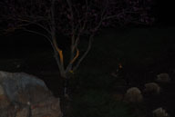 RAZ_3565.jpg