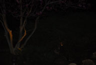 RAZ_3566.jpg