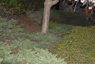 RAZ_3567.jpg