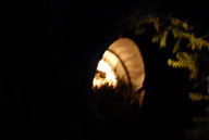 RAZ_3570.jpg
