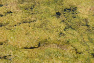 RAZ_4805.jpg