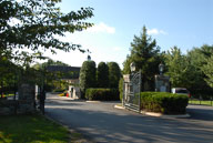RAZ_6466.jpg
