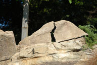 RAZ_6470.jpg