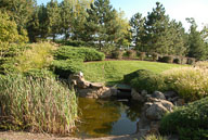 RAZ_6485.jpg