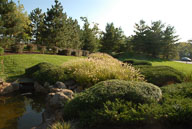 RAZ_6486.jpg