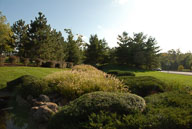 RAZ_6486a.jpg