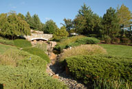 RAZ_6487.jpg