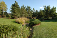 RAZ_6488.jpg