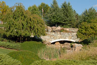 RAZ_6490.jpg