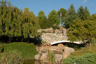 RAZ_6492.jpg