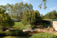 RAZ_6494.jpg