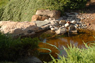RAZ_6495.jpg