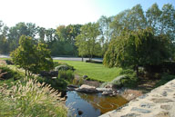 RAZ_6495a.jpg