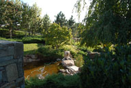 RAZ_6497.jpg