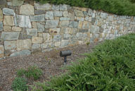 RAZ_0368.jpg