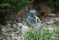 RAZ_0390.jpg