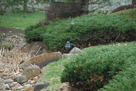 RAZ_0392.jpg