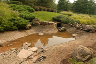 RAZ_0219.jpg