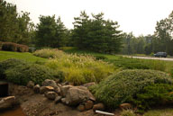 RAZ_0220.jpg