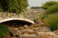 RAZ_0223.jpg