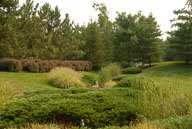 RAZ_0224.jpg