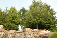 RAZ_0232.jpg