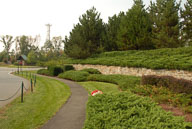 RAZ_0233.jpg