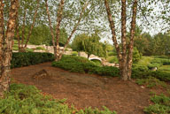 RAZ_0234.jpg