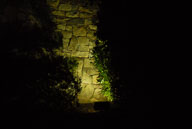 RAZ_0026.jpg